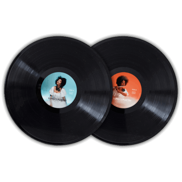 Vinyl-Face-A-B